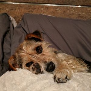 Meet your Posher, Amber